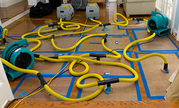 Professional Crawl Space Water Removal technician working in Parrish, FL